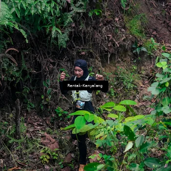 Runner Photo 8376516