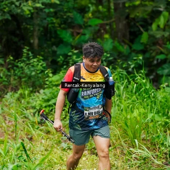 Runner Photo 8376535