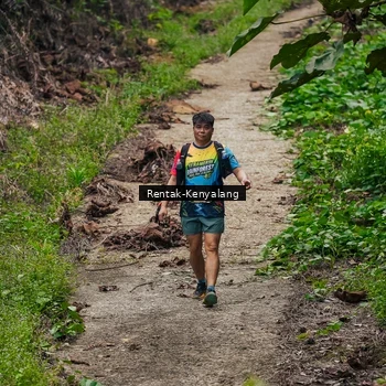 Runner Photo 8376542