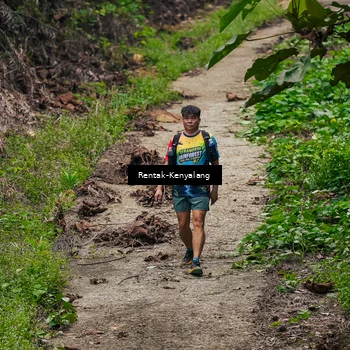 Runner Photo 8376549