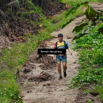 Runner Photo 8376554