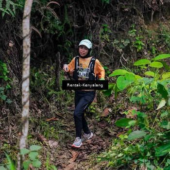 Runner Photo 8376563