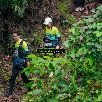Runner Photo 8376590