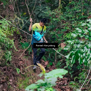 Runner Photo 8376811