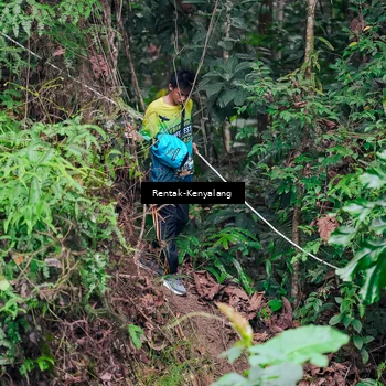 Runner Photo 8376815
