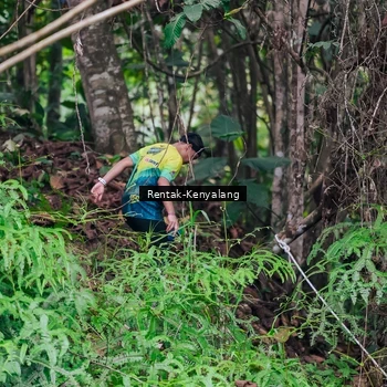 Runner Photo 8376820