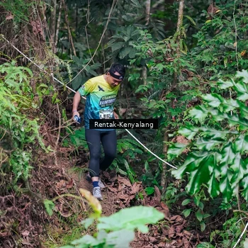 Runner Photo 8376821