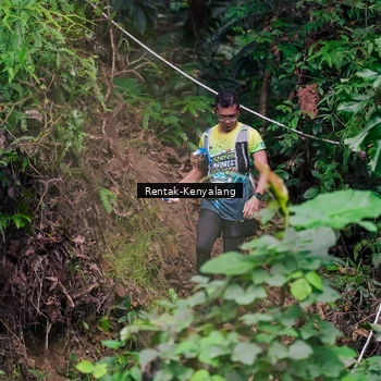 Runner Photo 8376829