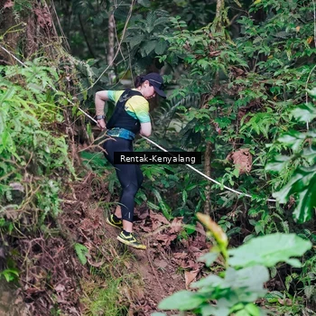 Runner Photo 8376832