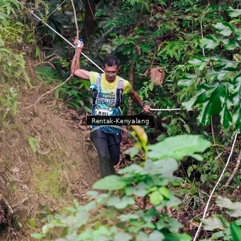 Runner Photo 8376838