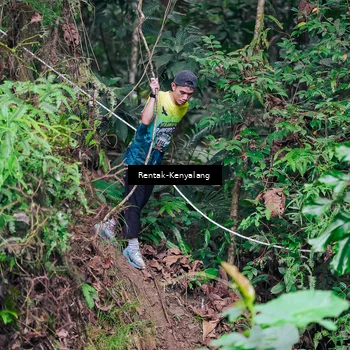 Runner Photo 8376843