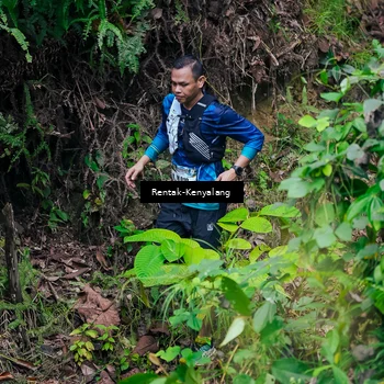 Runner Photo 8376846