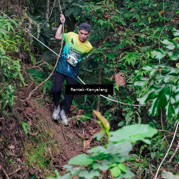 Runner Photo 8376849