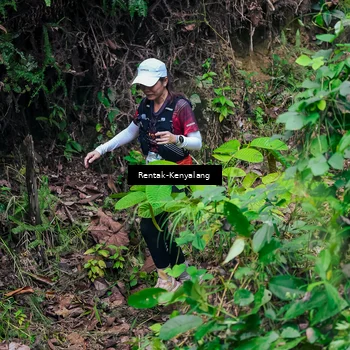 Runner Photo 8376850