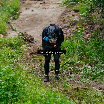 Runner Photo 8376877