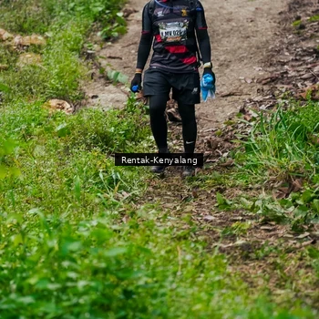 Runner Photo 8376879
