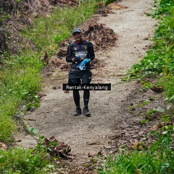 Runner Photo 8376888
