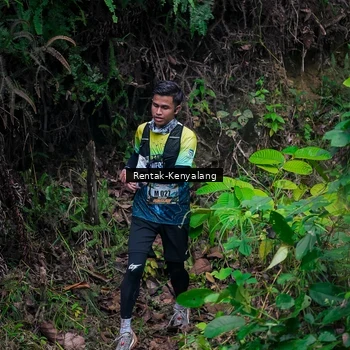 Runner Photo 8376889