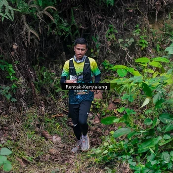 Runner Photo 8376890