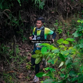 Runner Photo 8376893