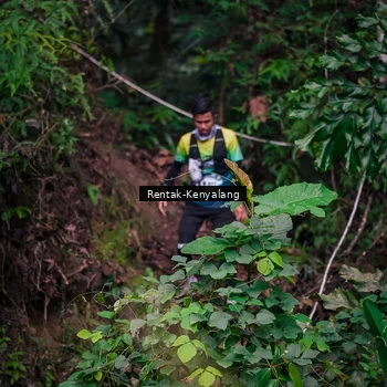 Runner Photo 8376898