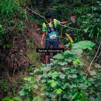 Runner Photo 8376923