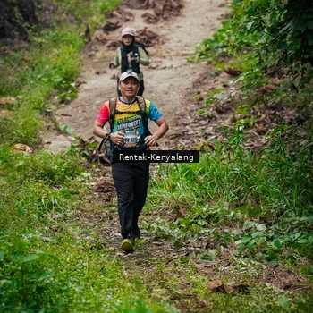 Runner Photo 8376926