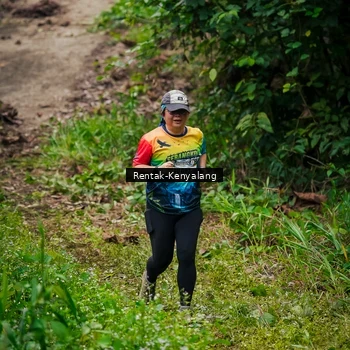 Runner Photo 8376941