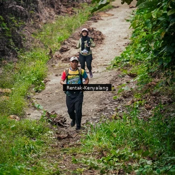 Runner Photo 8376944