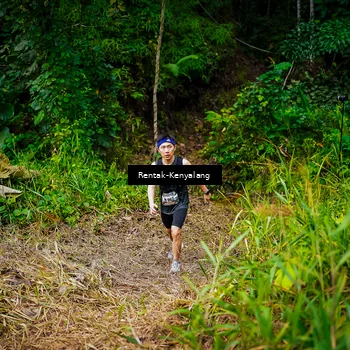 Runner Photo 8376955