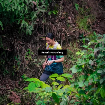 Runner Photo 8376958