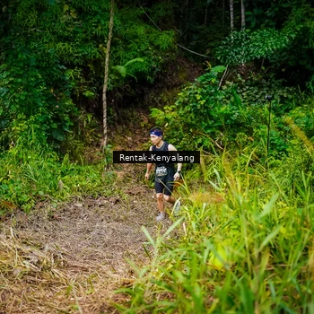 Runner Photo 8376960