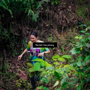 Runner Photo 8376961