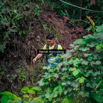 Runner Photo 8376974