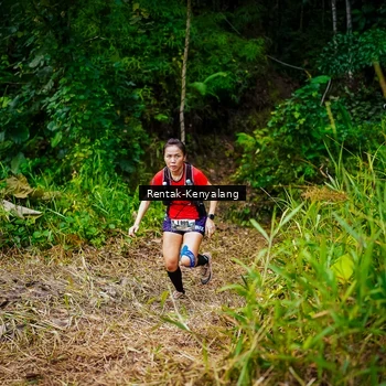 Runner Photo 8376983