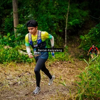 Runner Photo 8376987