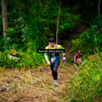 Runner Photo 8376988