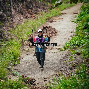 Runner Photo 8377005