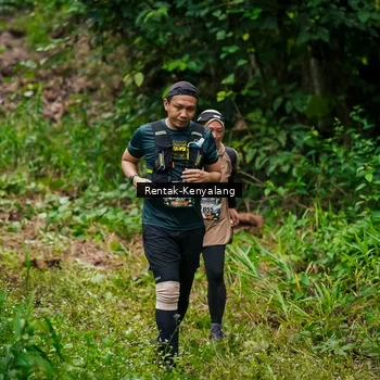 Runner Photo 8377015