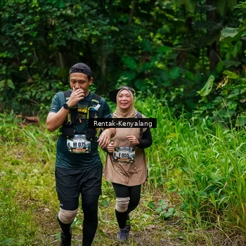 Runner Photo 8377016