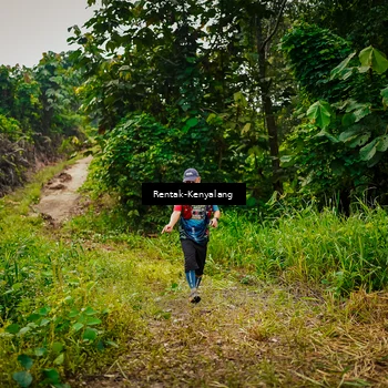 Runner Photo 8377036