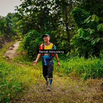 Runner Photo 8377040