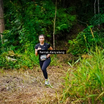 Runner Photo 8377041
