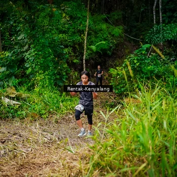 Runner Photo 8377042