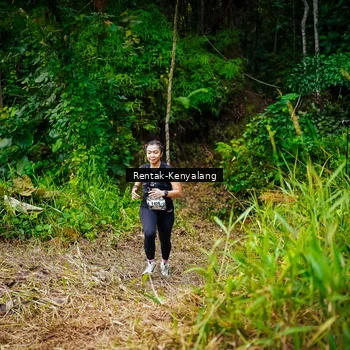 Runner Photo 8377043