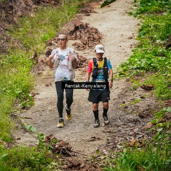 Runner Photo 8377062