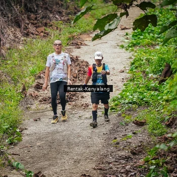 Runner Photo 8377067