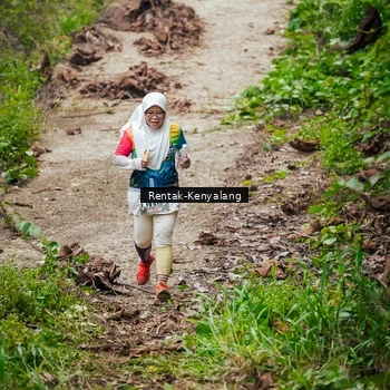 Runner Photo 8377081
