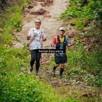 Runner Photo 8377082