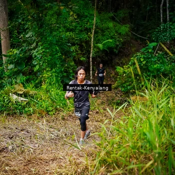 Runner Photo 8377083